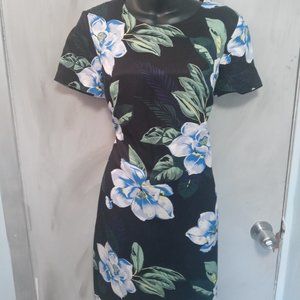 Banana Republic Blue Magnolia dress sz 4